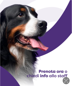 Prenota Toelettatura fai da te a Seriate Bergamo