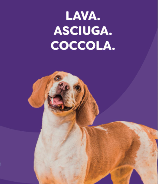 Rivista Fido24