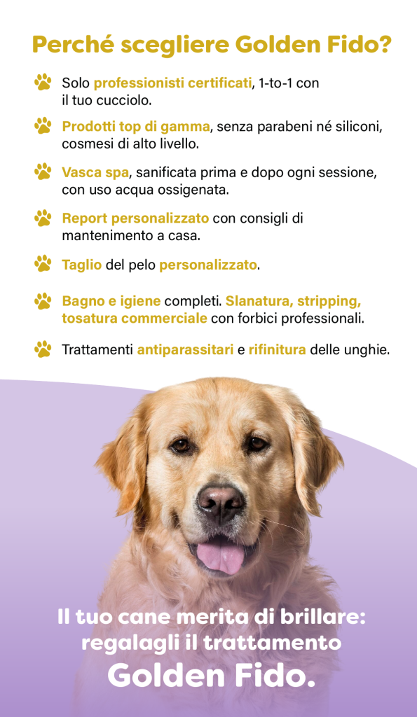 Golden Fido Seriate: prenota toelettatura online per stripping, slanatura e taglio a forbice professionale