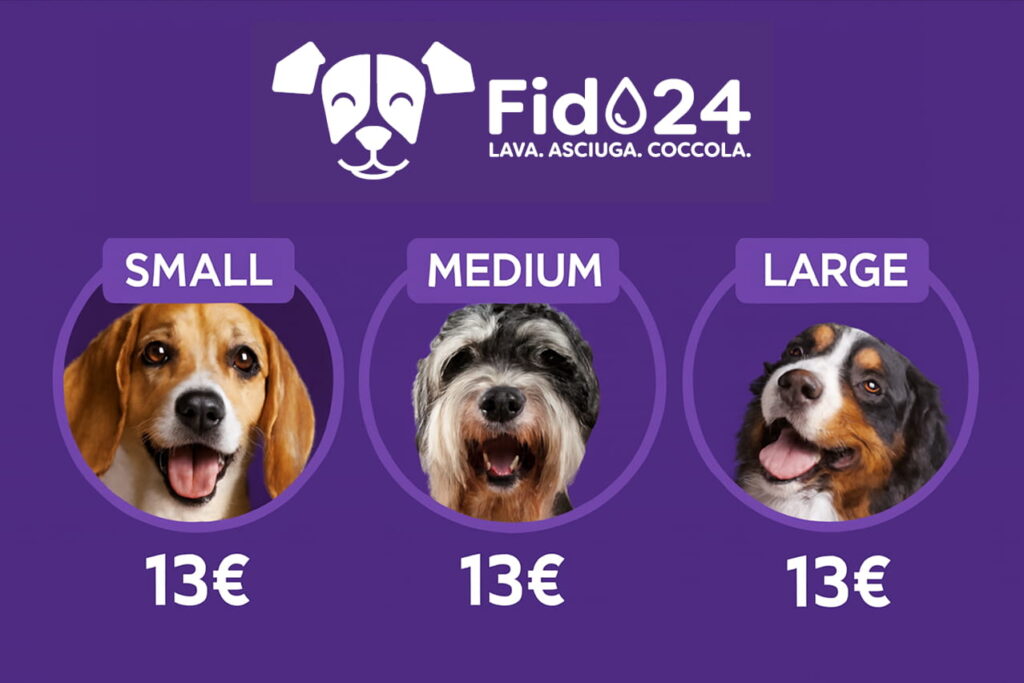 Quanto costa lavare cane a Bergamo?